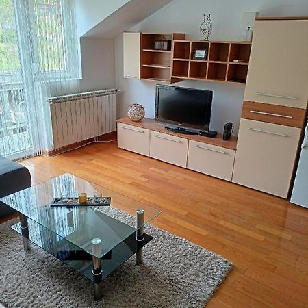 Ferienwohnung Apartman Romansa Vrnjačka Banja Exterior foto